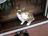 Ich weiß, daß ihr drinnen seid.webp