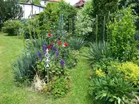160701        Yucca- u. Hibiscusbeet.webp