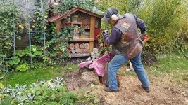 161028Die Lärche trotzt.webp