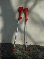 11 Pyromella.jpg