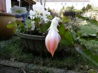 P1000189.webp