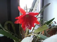 BILD6194.webp