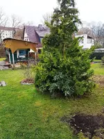 161126      Durften bleiben Mitte.webp