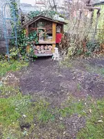 161126 Kahlschlag links oben.webp