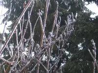 BILD6197.webp