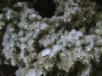 BILD6208.webp