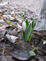 P1270380.webp