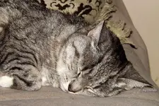 _Uschi 03.02.17.webp