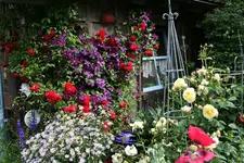 Juni2815.webp