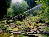 SR 15 mit GST08 im Japanischen Garten in Schönbrunn.jpg