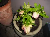 P1270431.JPG