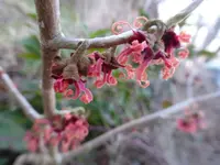 P1270421.webp