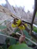 P1270425.webp