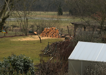 Birken_Feuerholz_800.webp