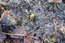 100_3406.JPG