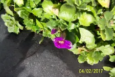 100_3404.webp