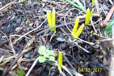 100_3409.webp