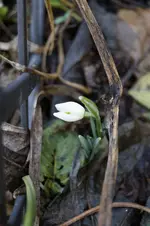 _DSC1264.webp