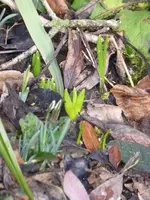 P1040240.webp