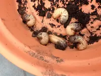 IMG_6926.webp IMG_6926.webp