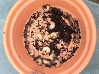 IMG_6925.webp IMG_6925.webp