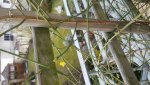 20170205_144744.jpg 20170205_144744.jpg