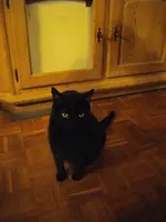 Markéta_1.webp