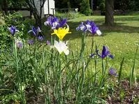 100_3275.webp