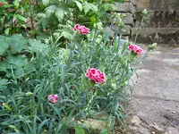 100_3281.webp