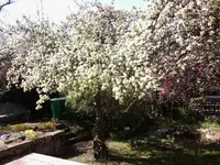 Foto0084.webp