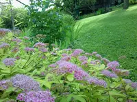 Foto0190.webp