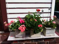 Foto0197.jpg