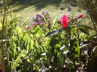 Foto0276.webp