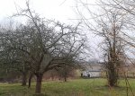 Apfel Birne.jpg