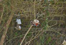 DSC_9104.webp
