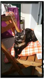 _20170206_214639.webp