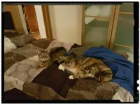 _20170206_214932.webp