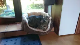 Camera2-2017-02-06-21-56-52.webp
