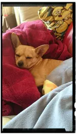 _20170206_214552.webp