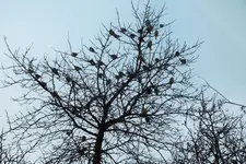 DSCF8456 (2).webp