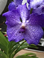 test.webp