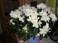 neue Fotos 026.webp