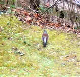 100_3443.JPG