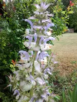 Foto0246.webp
