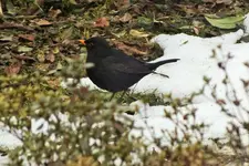 DSCF8512 (2).webp