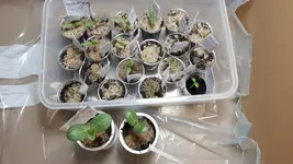 20170211_191935.webp