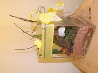 DSCF1451.webp