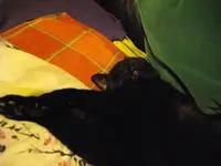 IMGP4548.webp