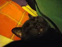 IMGP4550.webp