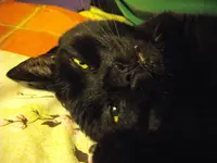 IMGP4551.webp